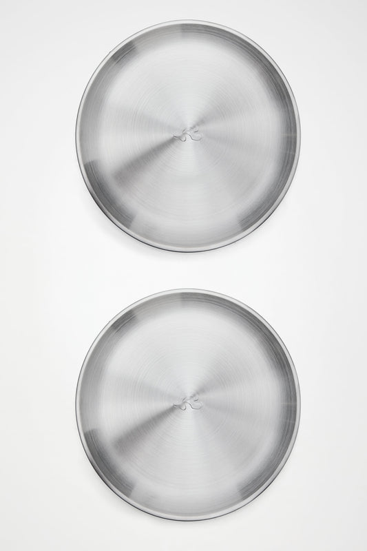 Stainless Steel 2-Pack Plates